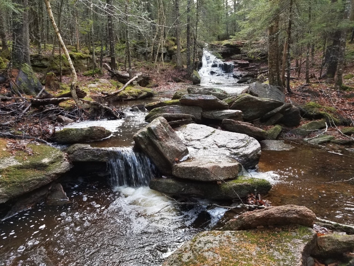 Long weekend location feature coulombs road waterfall 2024